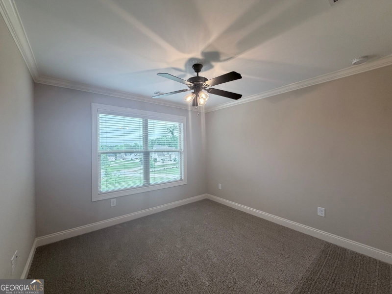 Photo 20 of 2342 Beebalm Drive