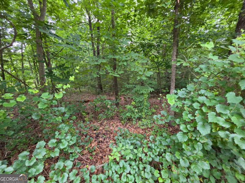 Photo 5 of LOT 15 Harbor Heights Circle