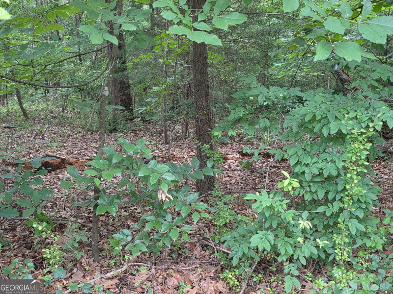 Photo 6 of LOT 15 Harbor Heights Circle