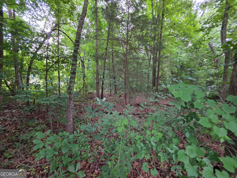Photo 7 of LOT 15 Harbor Heights Circle