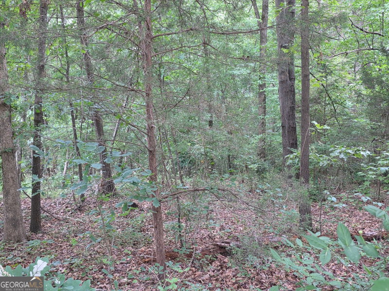 Photo 8 of LOT 15 Harbor Heights Circle