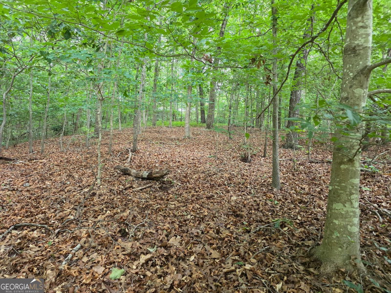 LOT 270 Arrow Lane