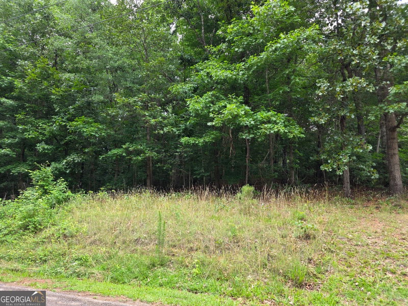 Photo 4 of LOT 270 Arrow Lane