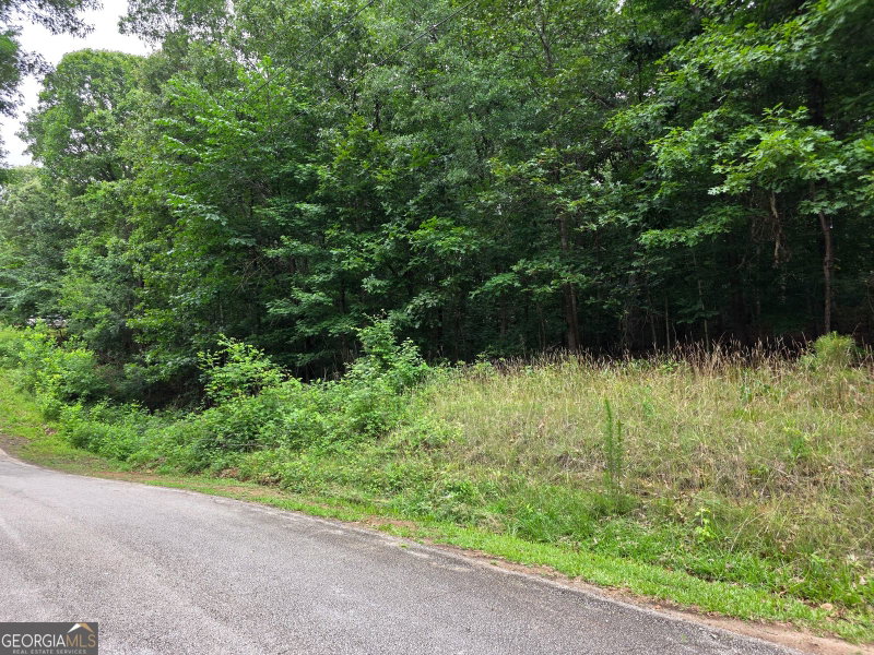 Photo 5 of LOT 270 Arrow Lane