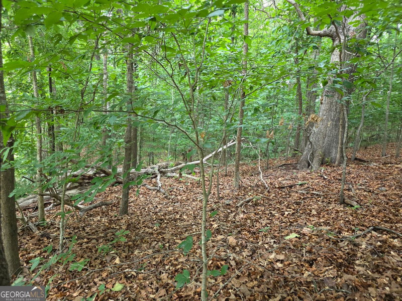Photo 6 of LOT 270 Arrow Lane