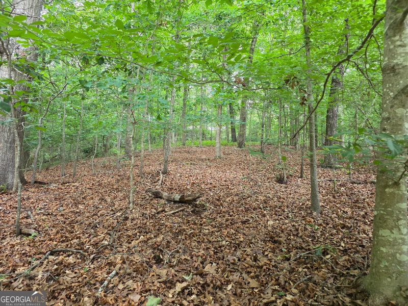 Photo 7 of LOT 270 Arrow Lane