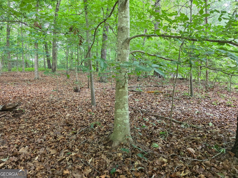 Photo 8 of LOT 270 Arrow Lane