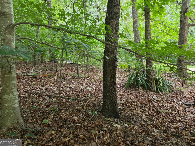 Photo 9 of LOT 270 Arrow Lane