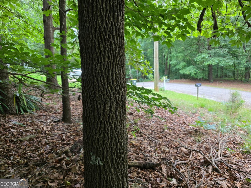 Photo 10 of LOT 270 Arrow Lane