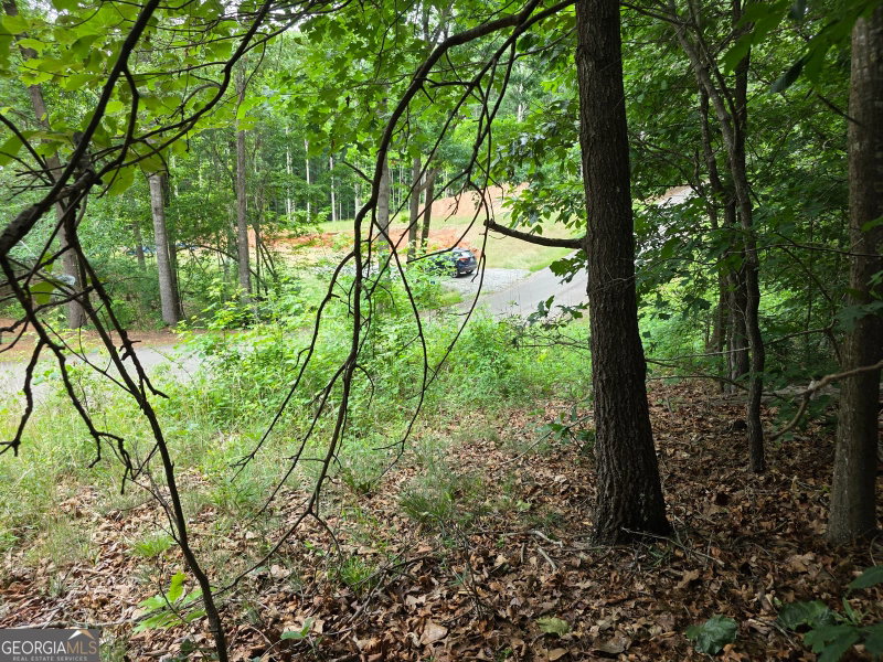 Photo 12 of LOT 270 Arrow Lane