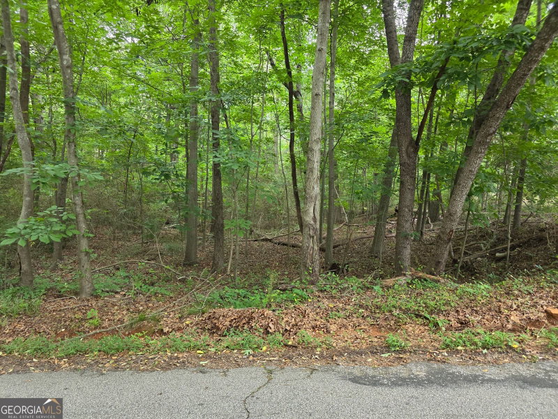 LOT 109 Arrowhead Drive