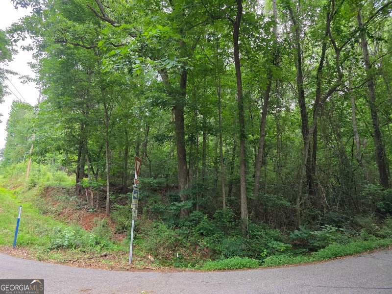 Photo 4 of LOT 109 Arrowhead Drive