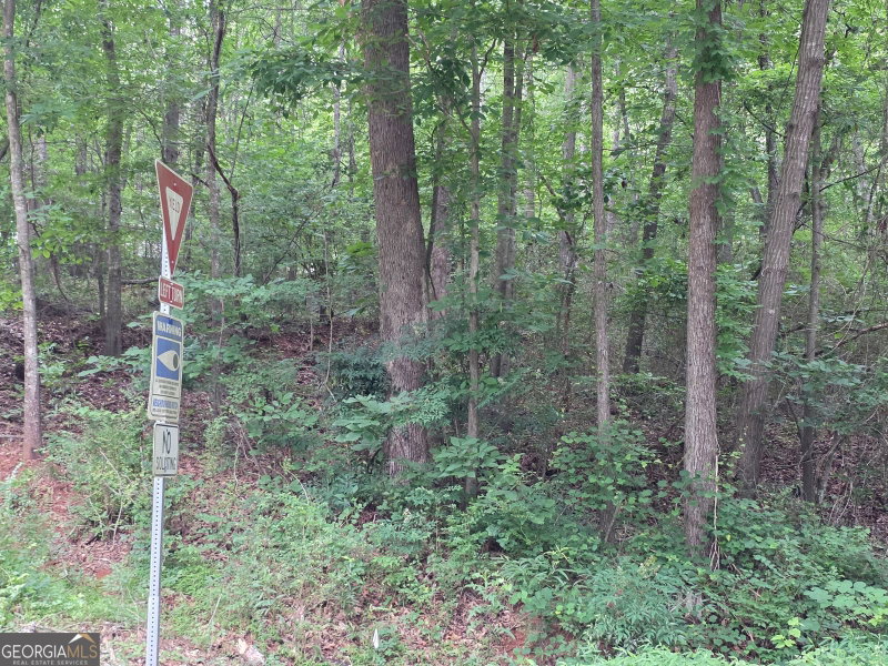 Photo 5 of LOT 109 Arrowhead Drive
