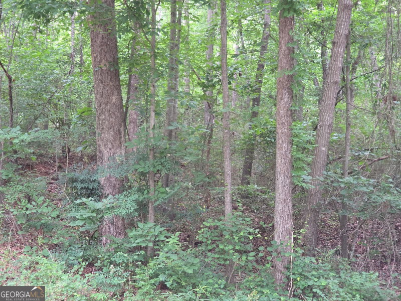 Photo 6 of LOT 109 Arrowhead Drive