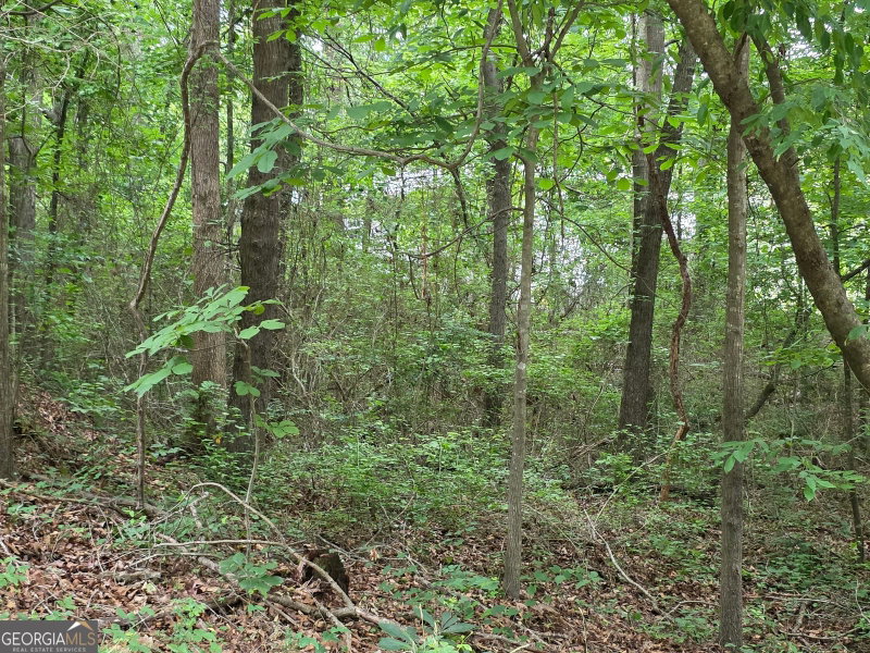 Photo 7 of LOT 109 Arrowhead Drive
