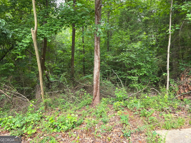 Photo 8 of LOT 109 Arrowhead Drive