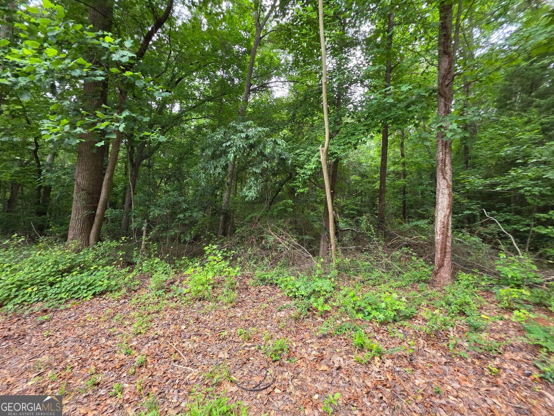 Photo 9 of LOT 109 Arrowhead Drive
