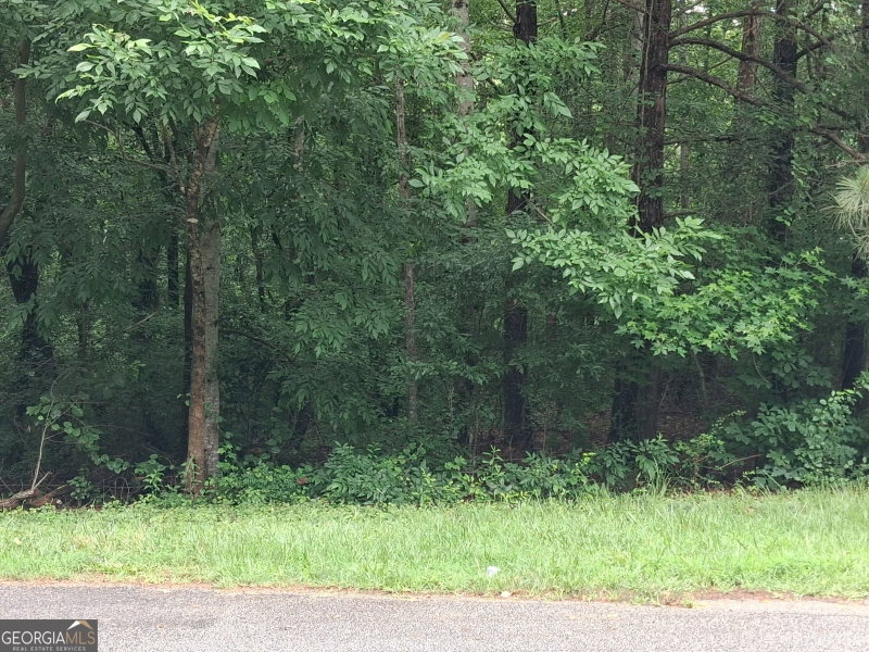 0 N Pleasant Oak Drive
