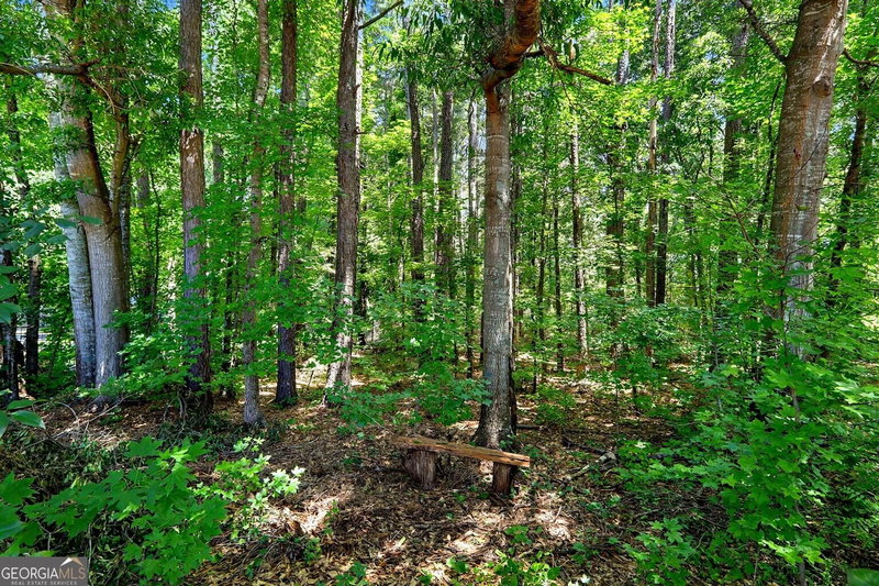 Photo 51 of 4 White Oak Lane