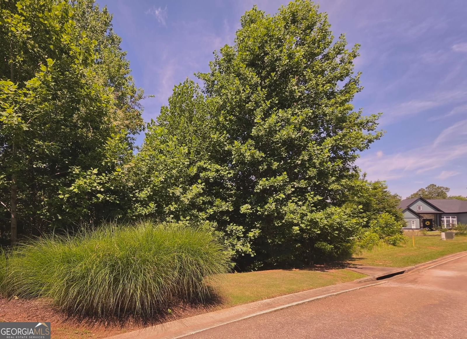155 Coneflower Lane, Toccoa, GA 30577