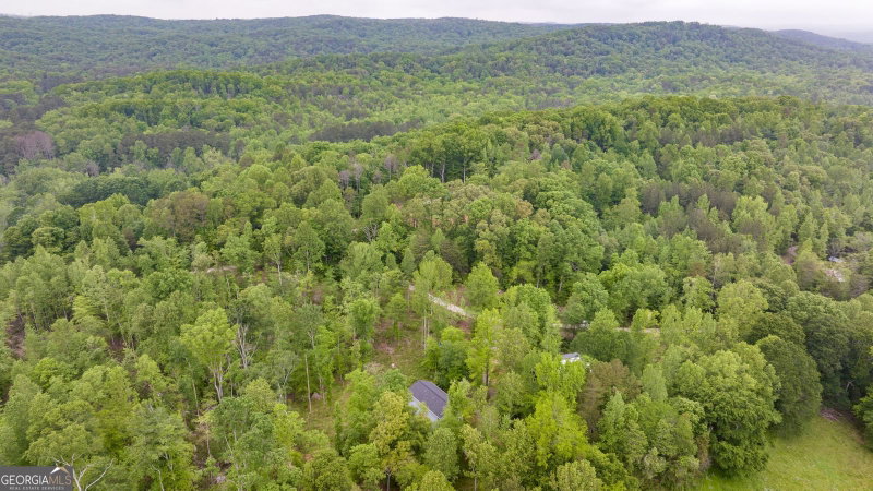 Photo 42 of 527 Louden Ridge Road