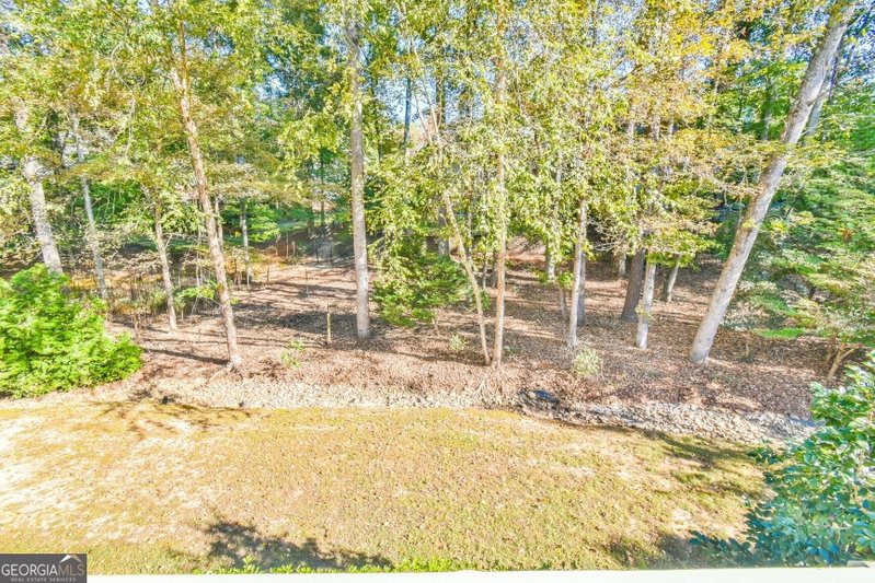Photo 58 of 1145 River Laurel Drive