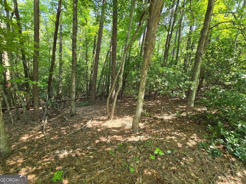 Photo 2 of C2 Quail Run