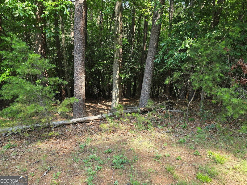 Photo 3 of C2 Quail Run