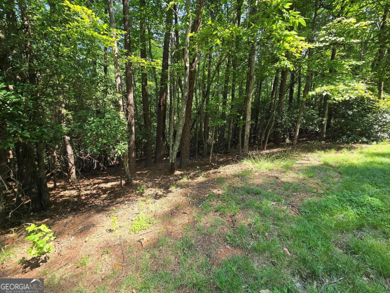 Photo 6 of C2 Quail Run