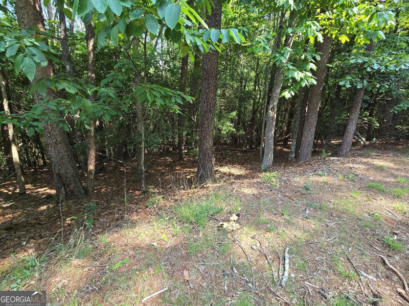 Photo 7 of C2 Quail Run