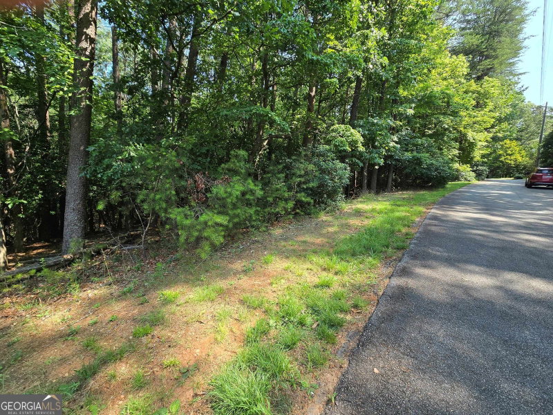 Photo 8 of C2 Quail Run