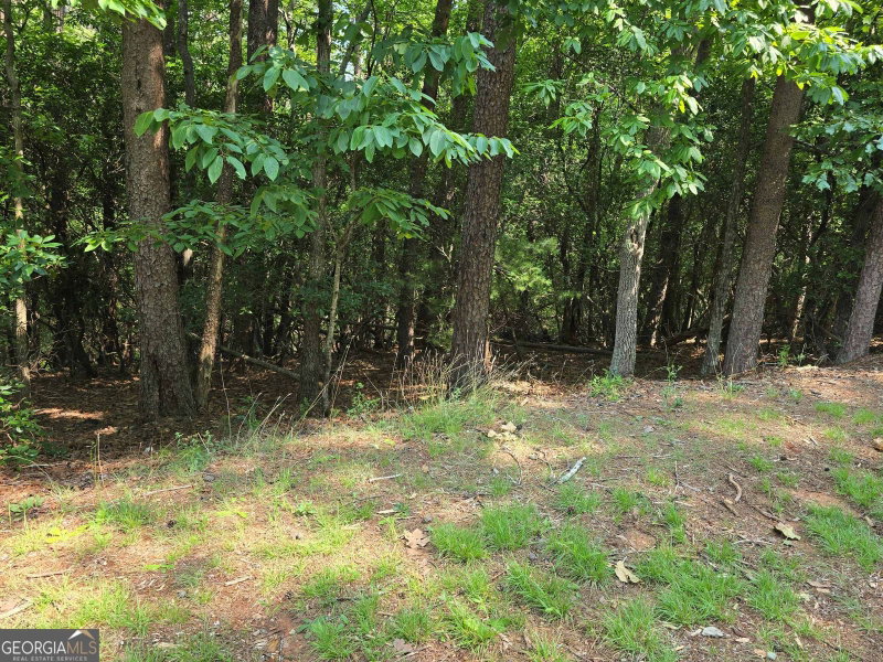 Photo 9 of C2 Quail Run