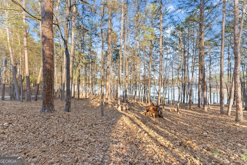 Photo 46 of 287 Spring Branch Circle