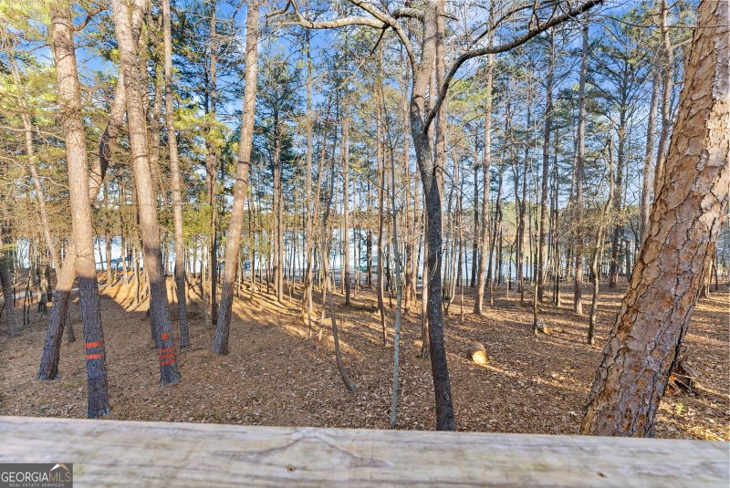 Photo 47 of 287 Spring Branch Circle