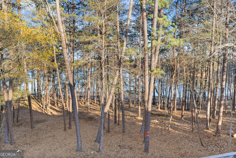 Photo 50 of 287 Spring Branch Circle
