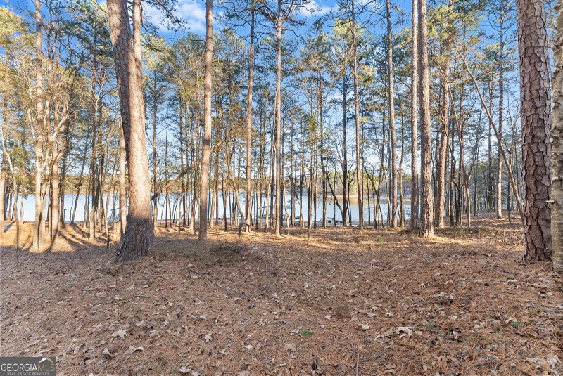 Photo 53 of 287 Spring Branch Circle