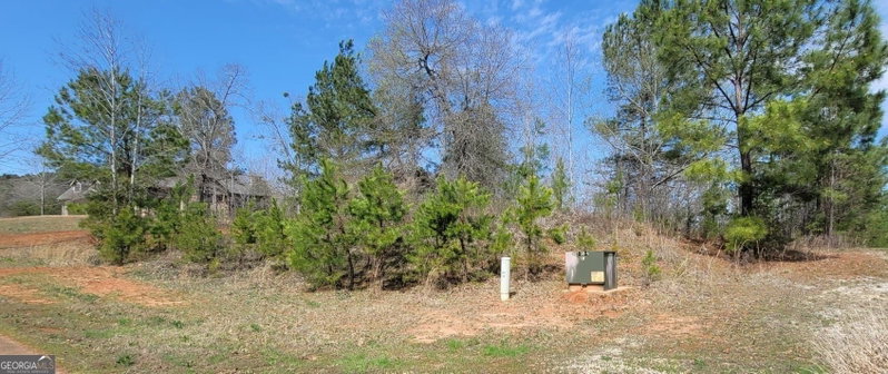 Photo 4 of 334 Edgewater Trail S