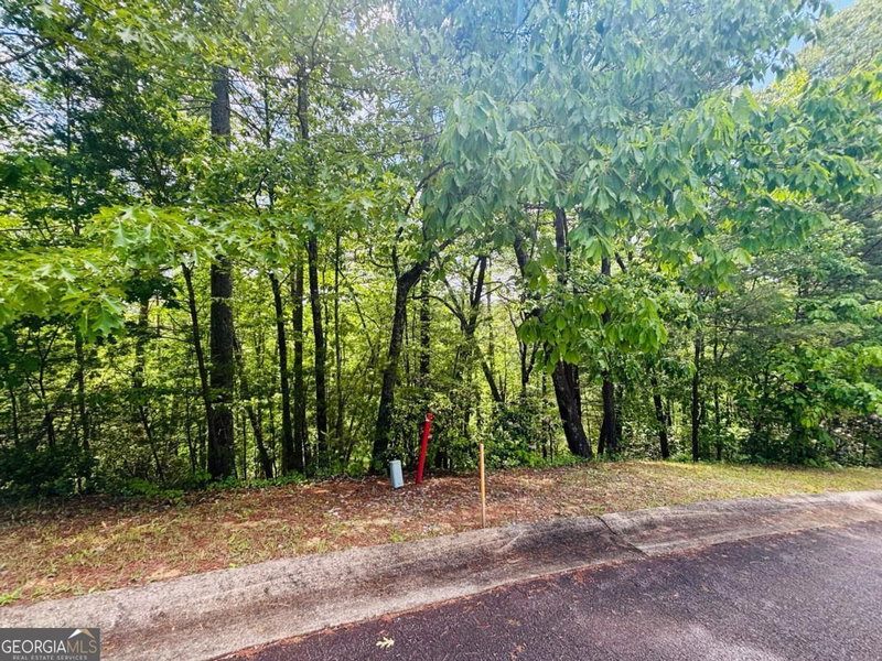 Photo 2 of 0 Rosen Strasse #LOT 141