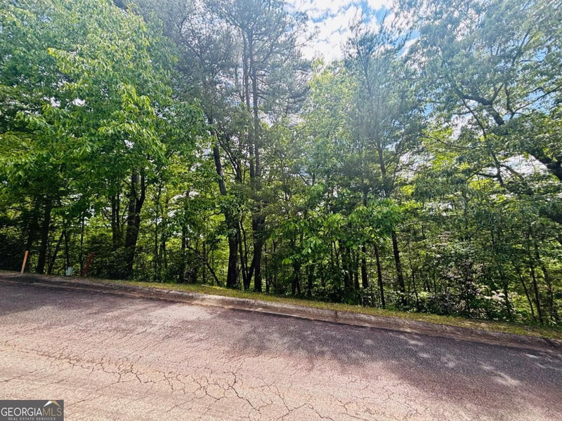 Photo 11 of 0 Rosen Strasse #LOT 141