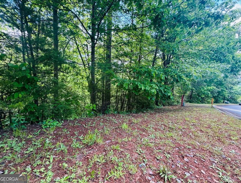 Photo 9 of 0 Rosen Strasse #LOT 141