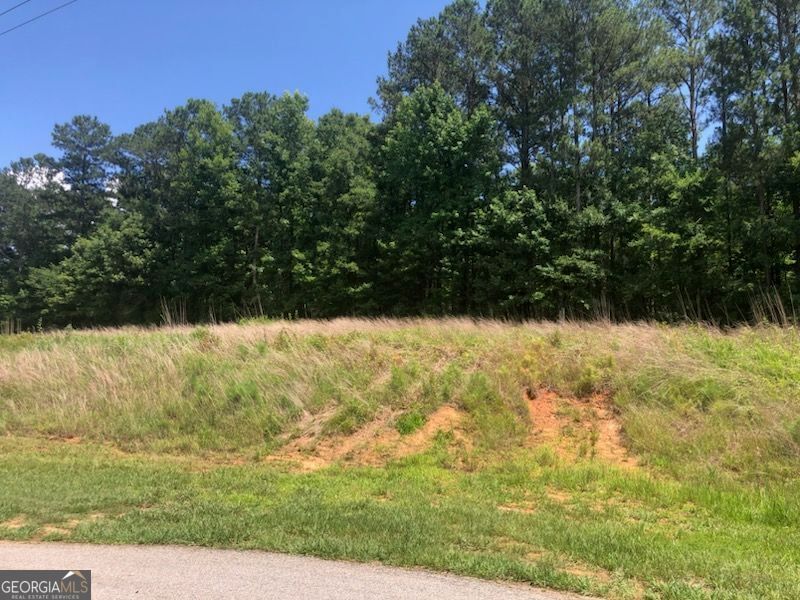 Photo 5 of 1860 Northwoods Drive