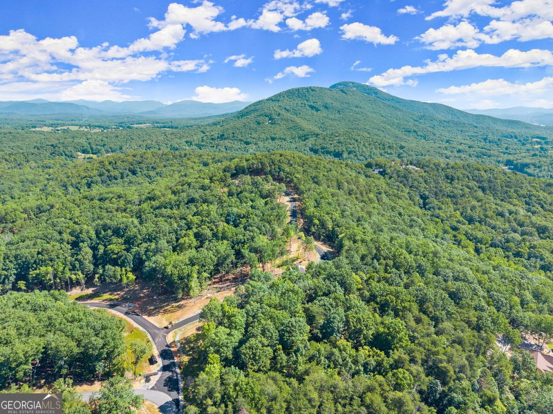 58 Chimney Oaks Trail
