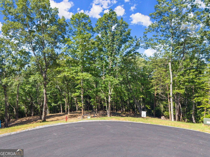 228 Chimney Oaks Trail