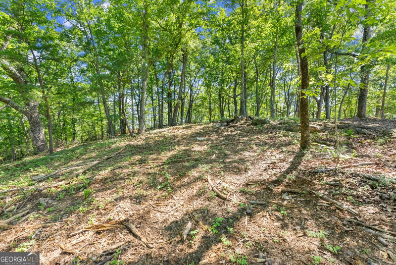 95 Chimney Oaks Trail