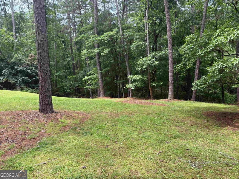 Photo 20 of 129 Sebastian Drive