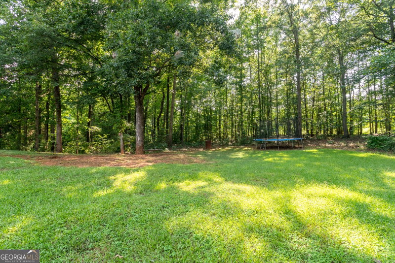 Photo 6 of 1537 Cardinal Lane