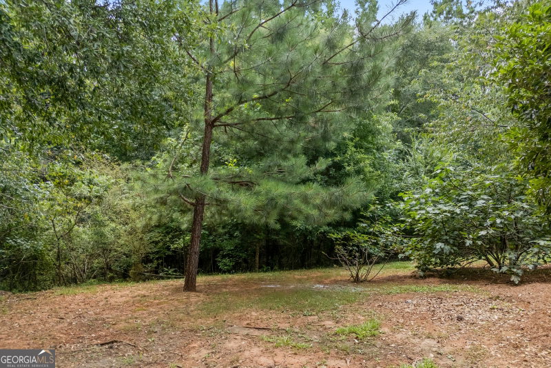 Photo 12 of 309 Briarwood Trail