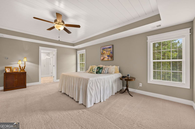 Photo 32 of 70 Senoia Oaks Way