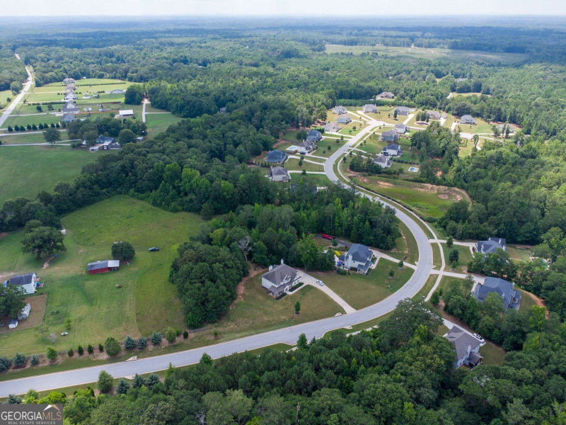 Photo 55 of 70 Senoia Oaks Way