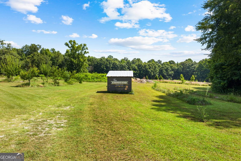 Photo 50 of 456 W McIntosh Road